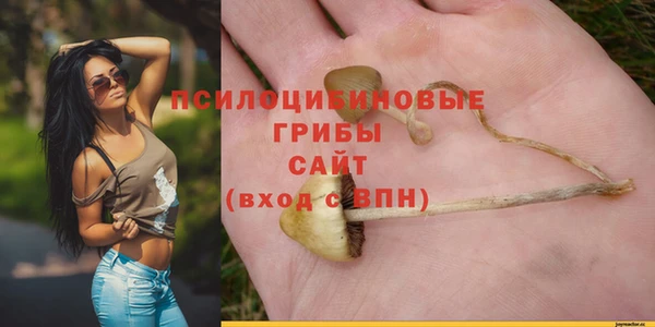 прущая мука Михайловск
