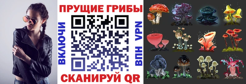 Купить  Кимовск  Псилоцибиновые грибы ЛСД 